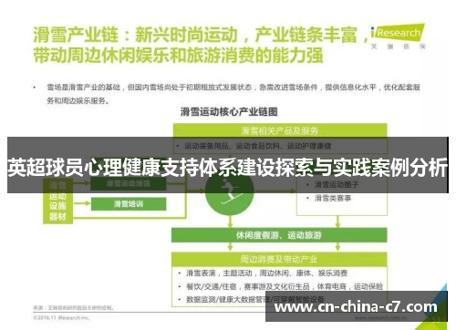 英超球员心理健康支持体系建设探索与实践案例分析 英超球员心理健康支持体系建设探索与实践案例分析