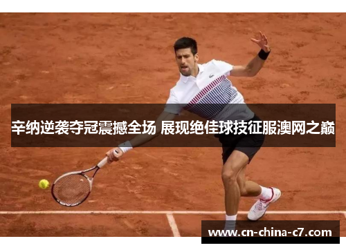 辛纳逆袭夺冠震撼全场 展现绝佳球技征服澳网之巅 辛纳逆袭夺冠震撼全场 展现绝佳球技征服澳网之巅