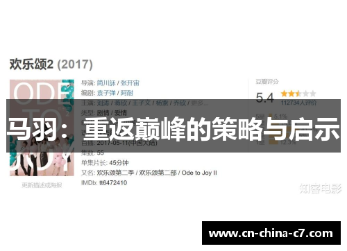 马羽：重返巅峰的策略与启示