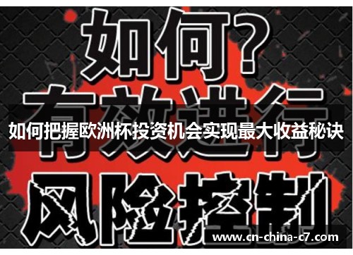 如何把握欧洲杯投资机会实现最大收益秘诀