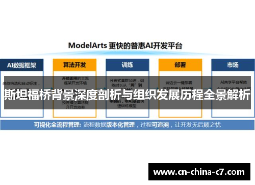斯坦福桥背景深度剖析与组织发展历程全景解析