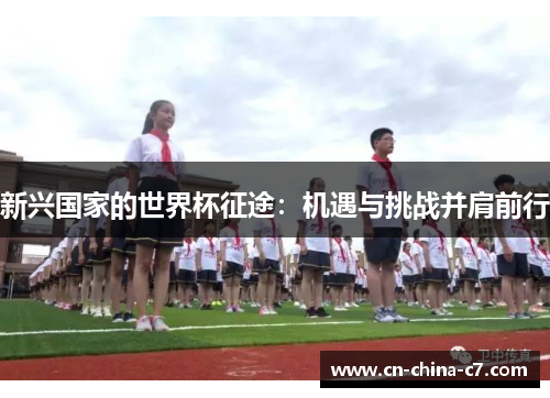 新兴国家的世界杯征途：机遇与挑战并肩前行