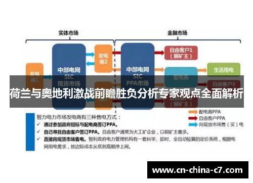 荷兰与奥地利激战前瞻胜负分析专家观点全面解析 荷兰与奥地利激战前瞻胜负分析专家观点全面解析